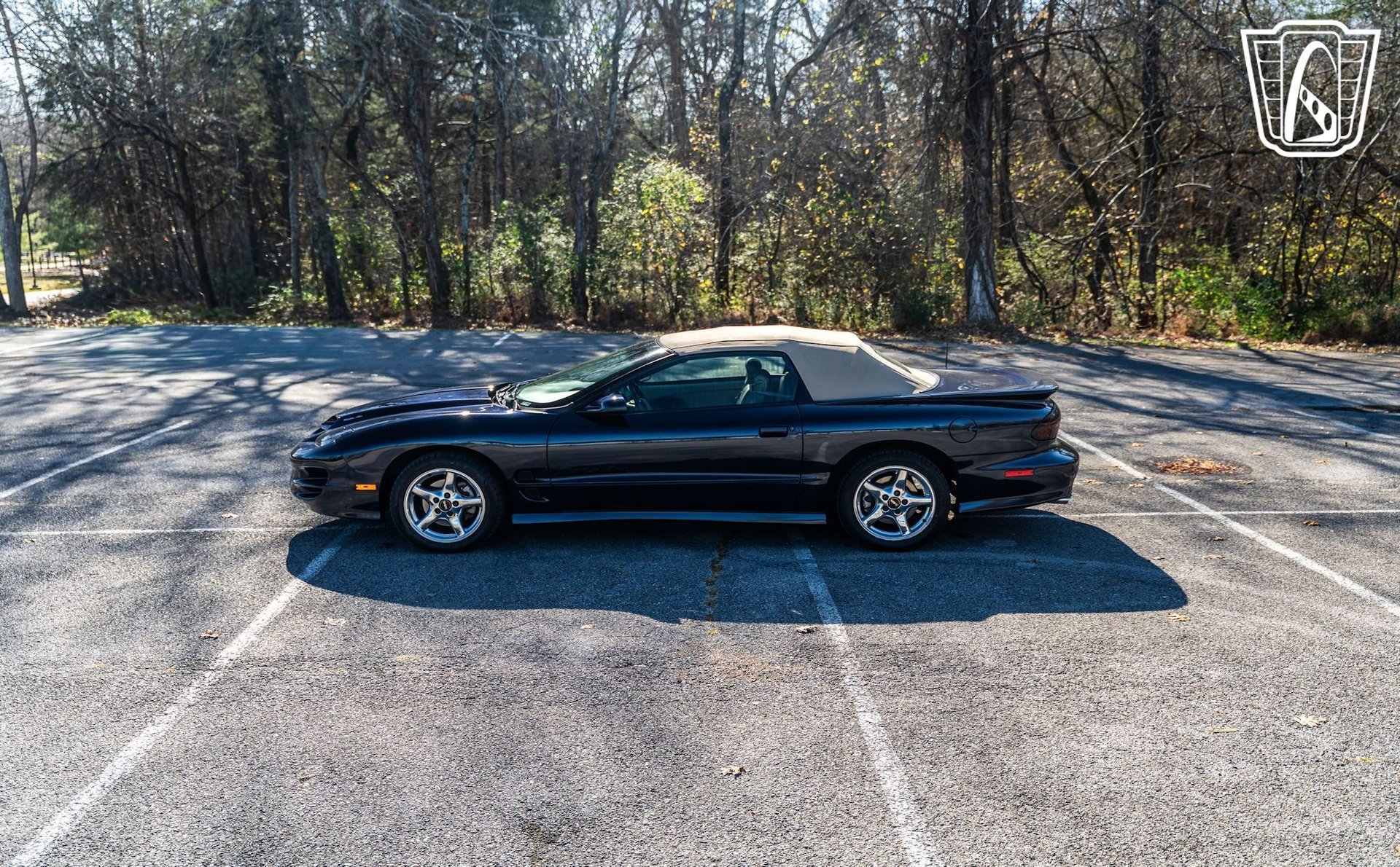 Used 2000 Pontiac Firebird Trans Am image 14