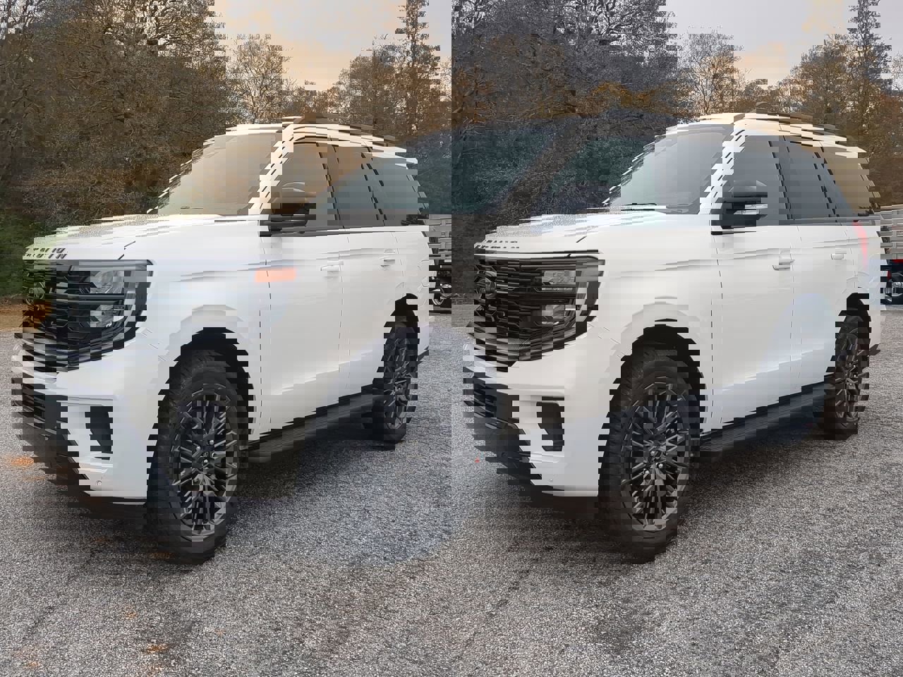 New 2026 Ford Expedition Platinum w/ Stealth Appearance Package image 6