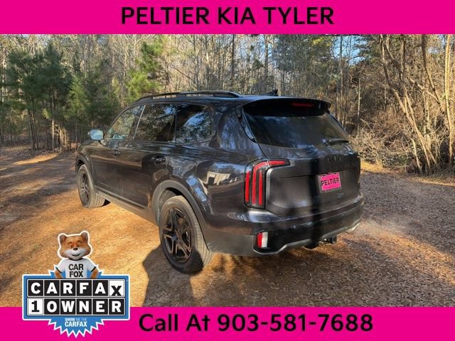 Certified 2025 Kia Telluride EX X-Line image 10