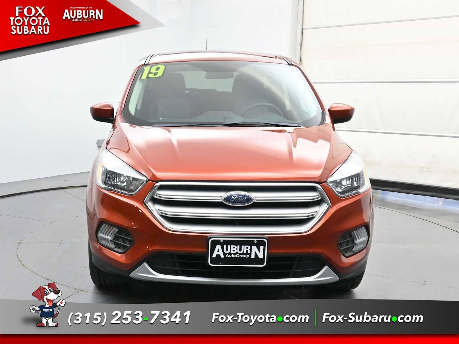 Used 2019 Ford Escape SE AWD/4WD image 3