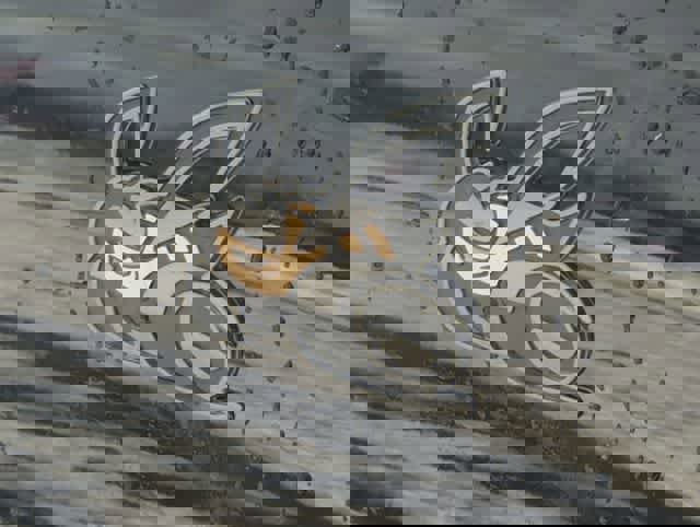 New 2026 Dodge Charger Scat Pack w/ Blacktop Package AWD/4WD image 12