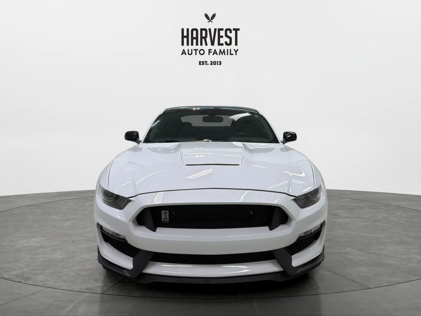 Used 2019 Ford Mustang Shelby GT350 w/ Technology Package image 11