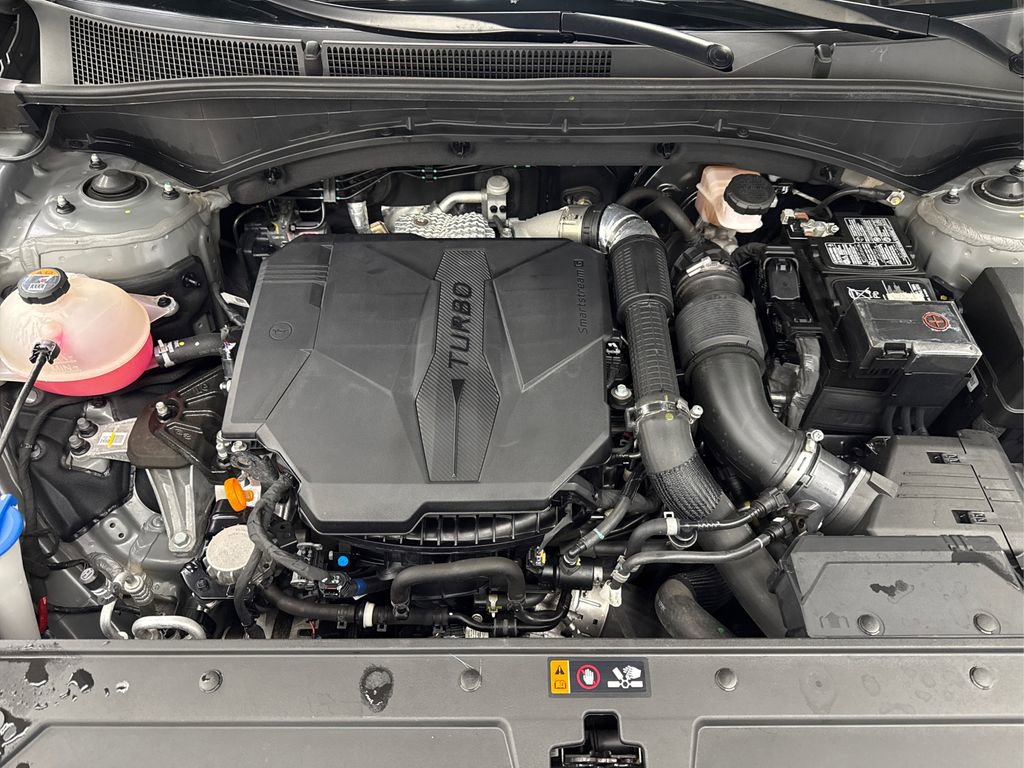 Used 2023 Hyundai Santa Fe Calligraphy image 13