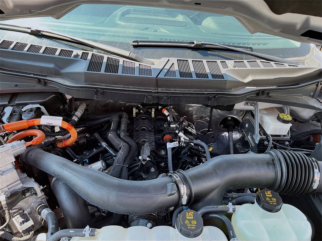 Used 2024 Ford F150 XLT w/ Mobile Office Package image 31