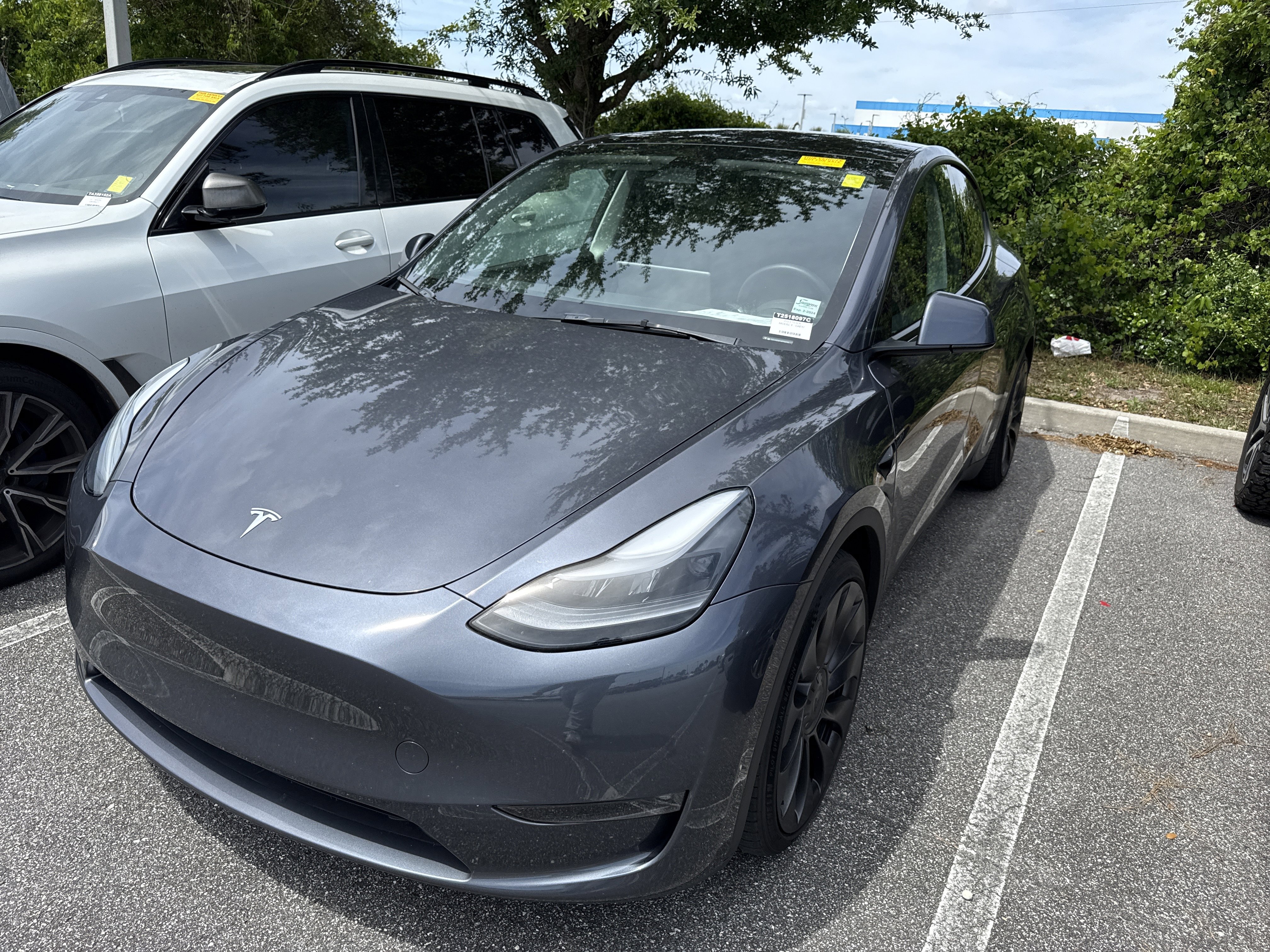 Used 2023 Tesla Model Y Performance image 2