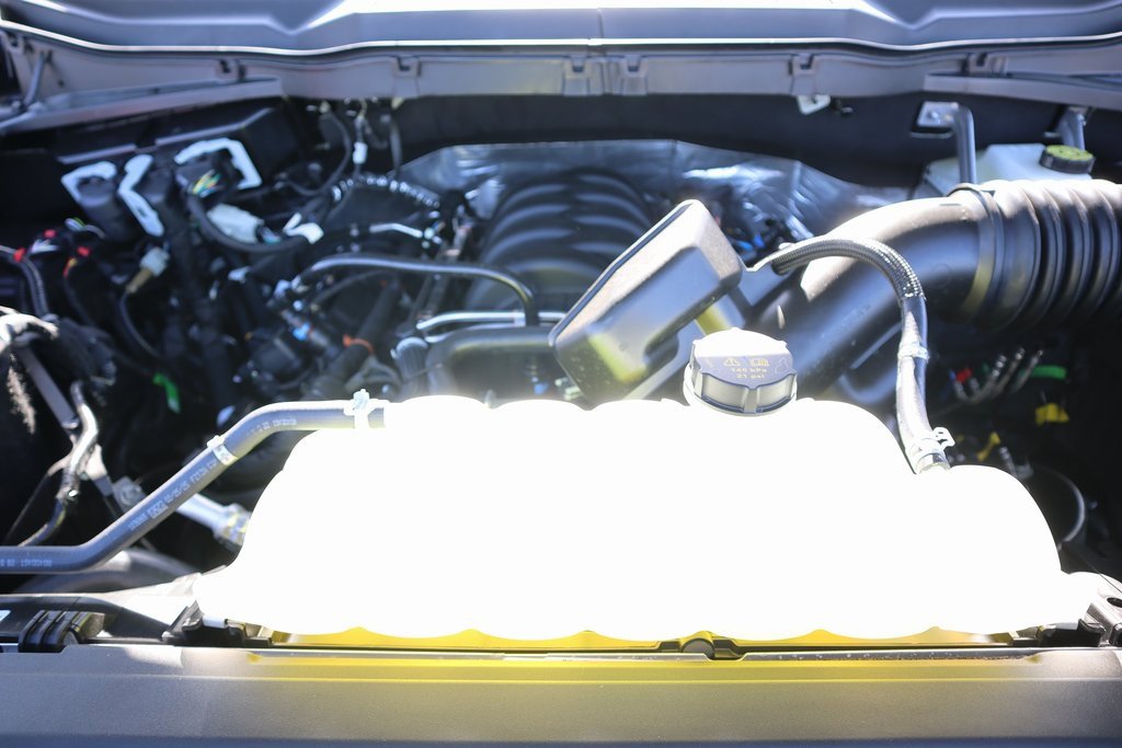 New 2025 Ford F150 STX w/ Equipment Group 200A image 18