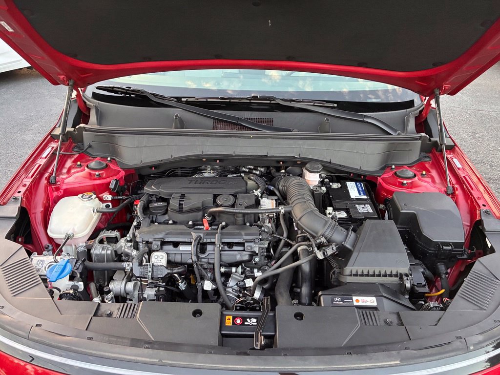 Certified 2024 Hyundai Kona Limited AWD/4WD image 9