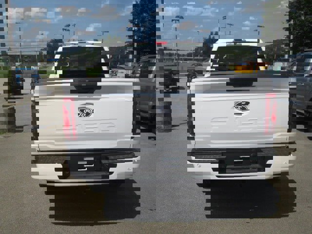 New 2025 Ford F150 STX w/ Equipment Group 200A image 6