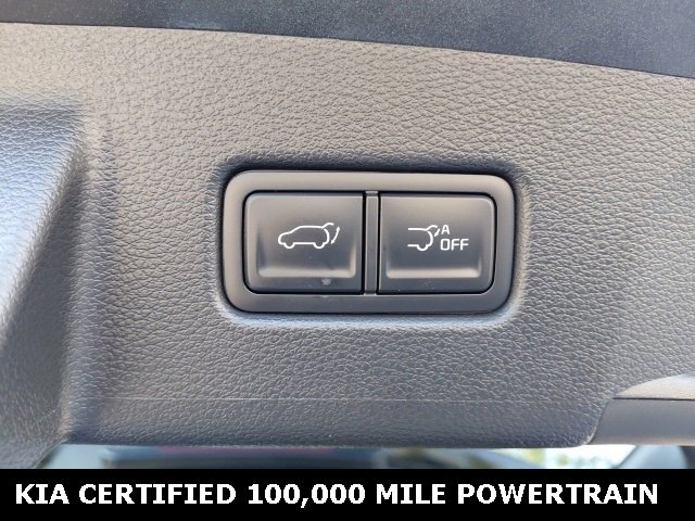 Certified 2025 Kia Telluride SX Prestige X-Line image 30