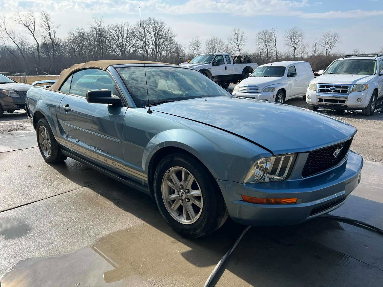 Used 2005 Ford Mustang Convertible image 3