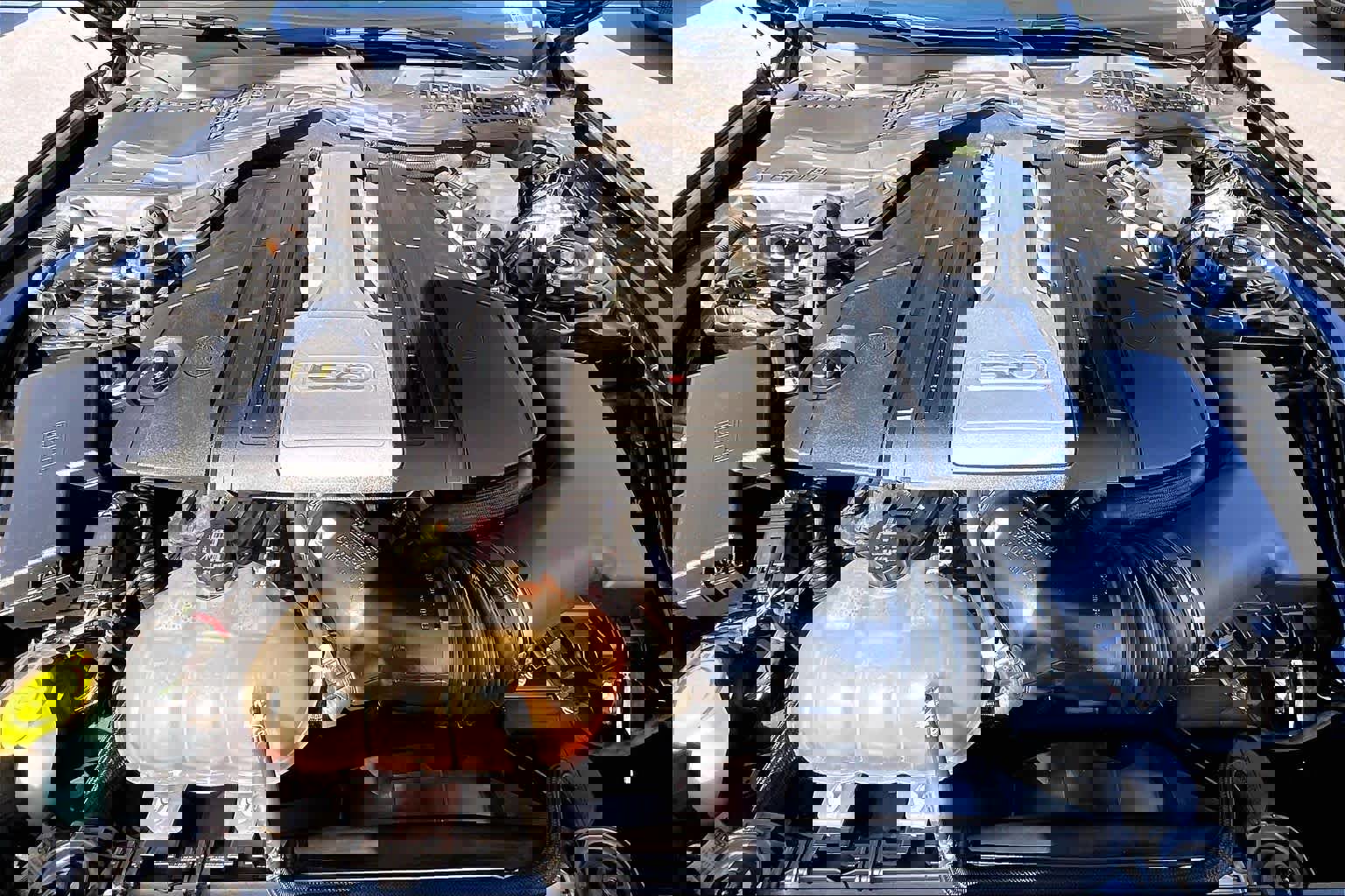 Used 2018 Ford Mustang GT Premium w/ Black Accent Package image 12