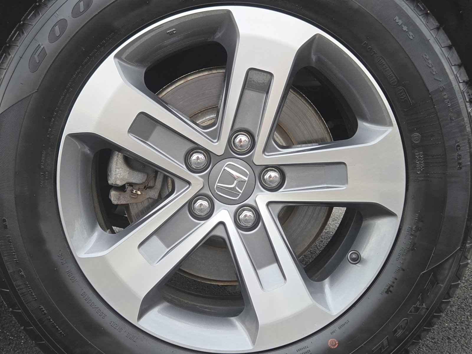 Certified 2025 Honda Pilot EX-L image 11