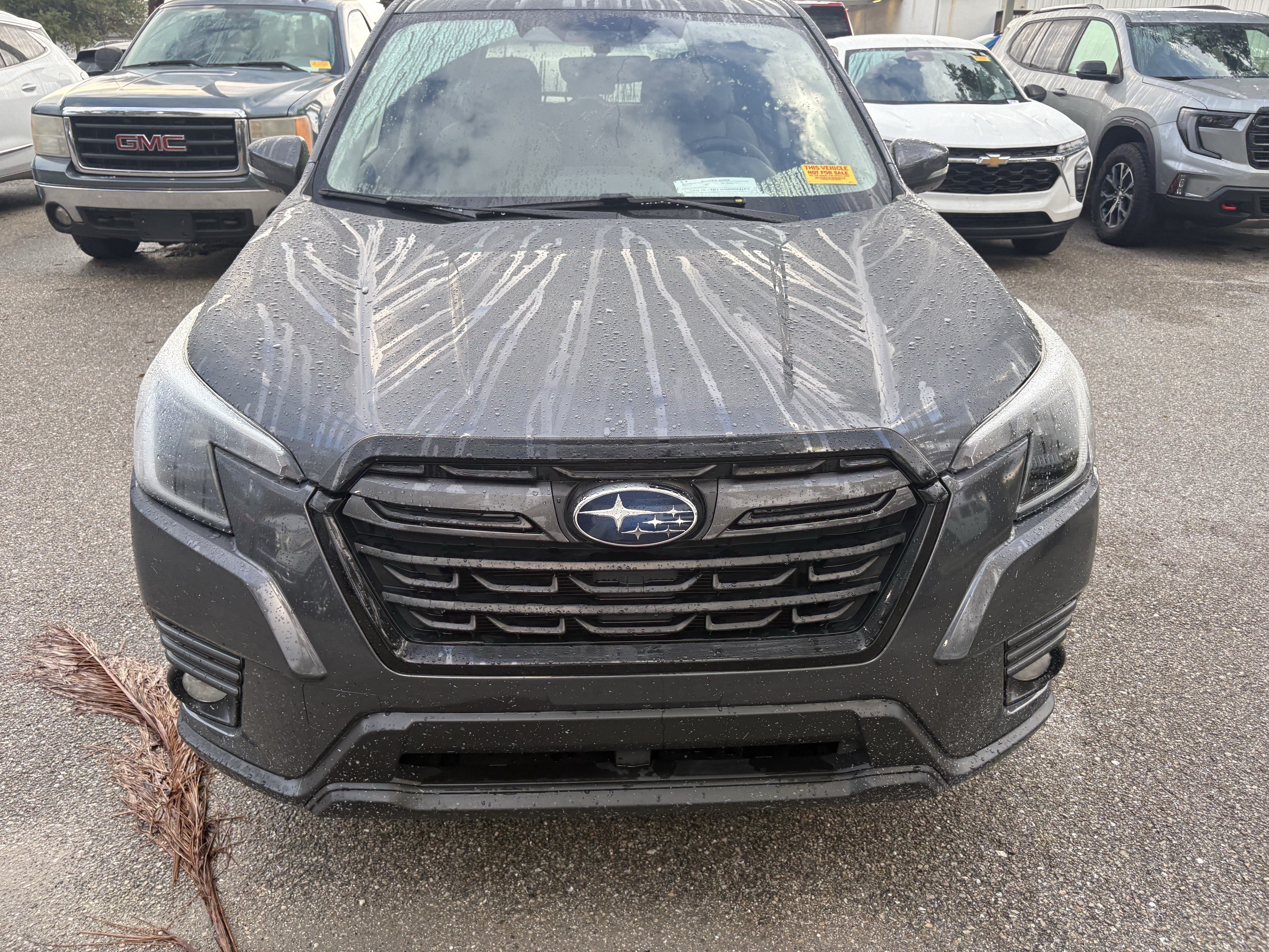 Used 2022 Subaru Forester Limited w/ Popular Package #3 AWD/4WD image 2