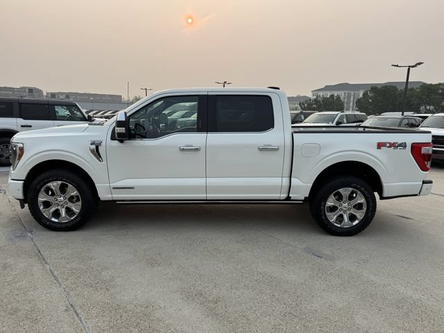 Used 2022 Ford F150 Platinum w/ Equipment Group 701A High AWD/4WD image 5