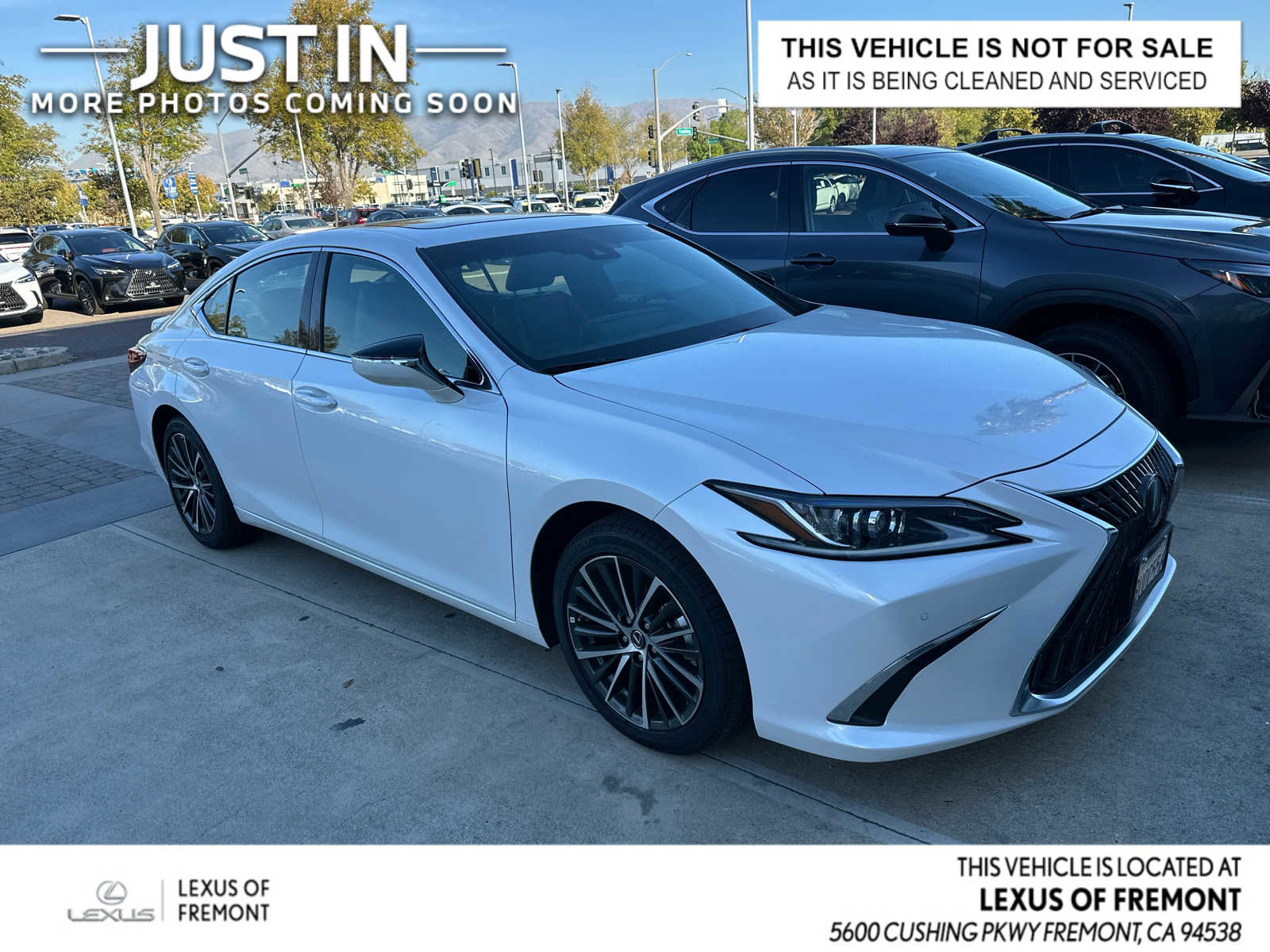 Used 2025 Lexus ES 300h w/ Premium Package