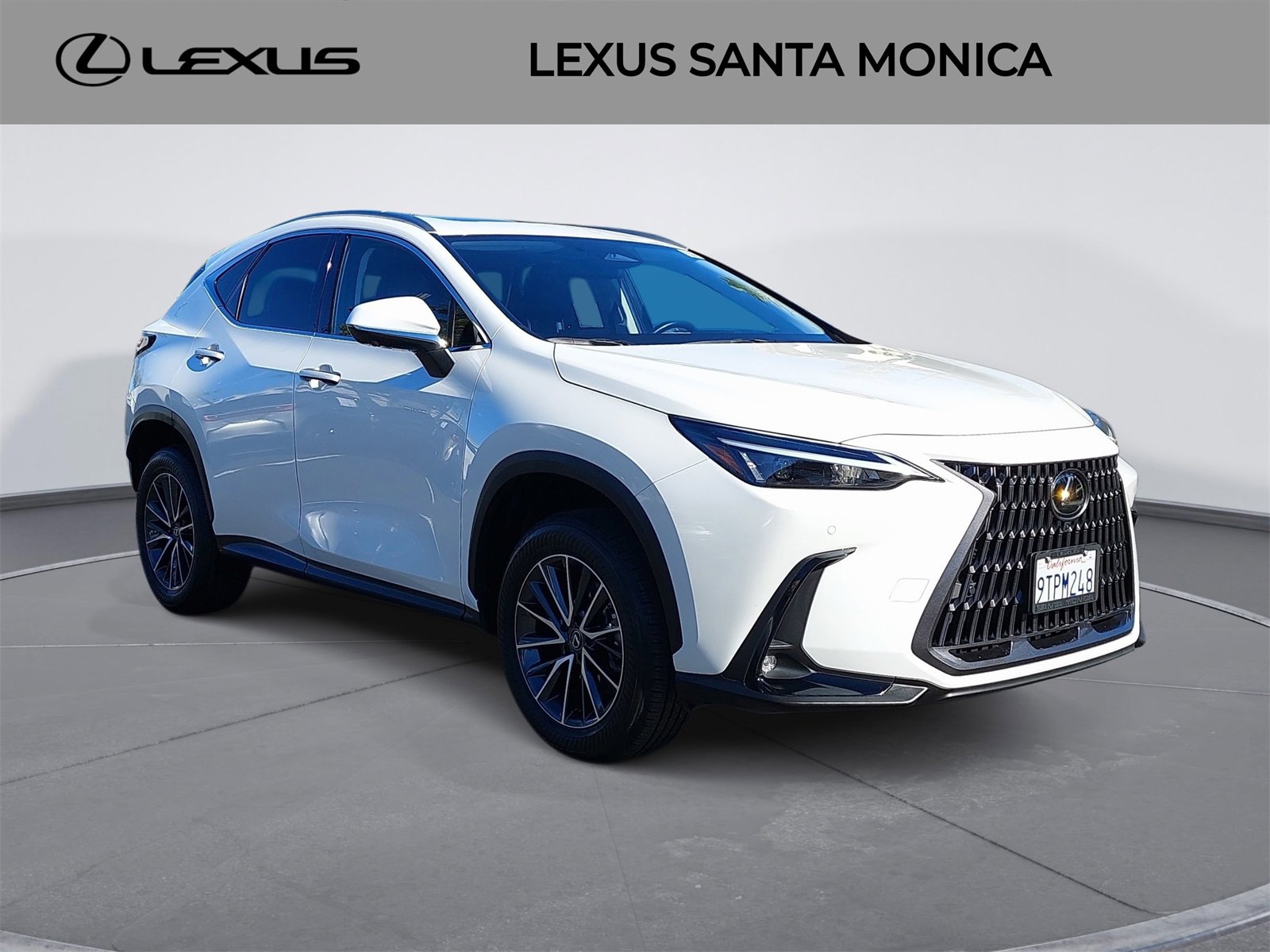 Used 2025 Lexus NX 350h AWD w/ Premium Package image 3