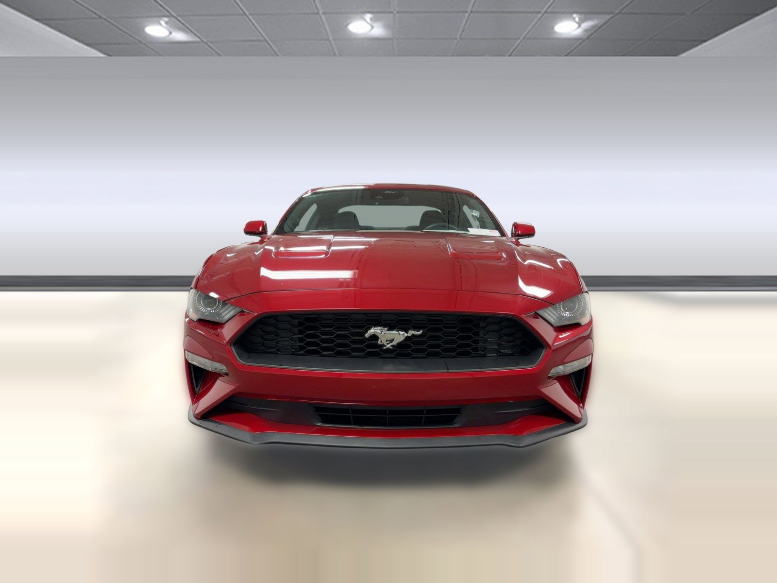 Used 2023 Ford Mustang EcoBoost image 6