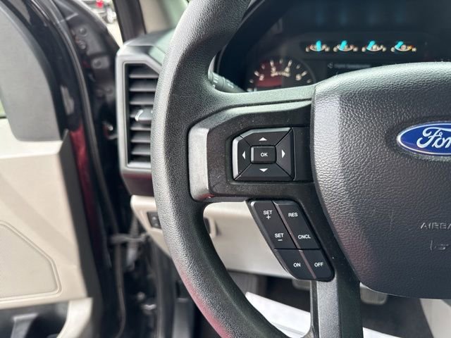 Used 2019 Ford F150 XL w/ Equipment Group 101A Mid AWD/4WD image 19