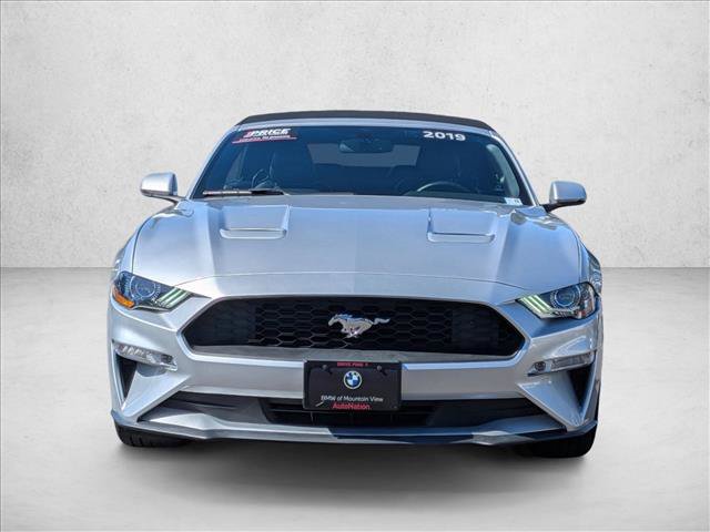 Used 2019 Ford Mustang Premium RWD image 2