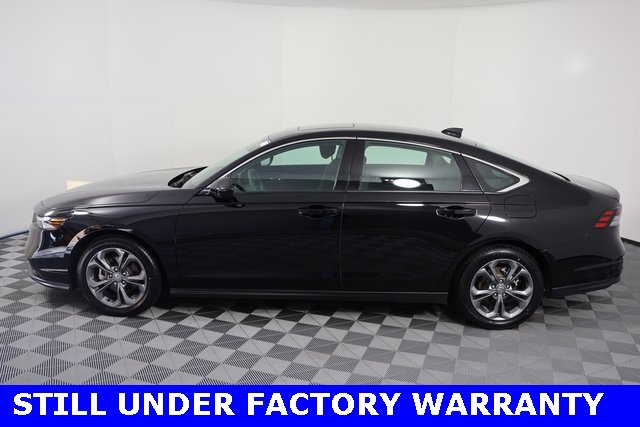 Certified 2024 Honda Accord EX image 5