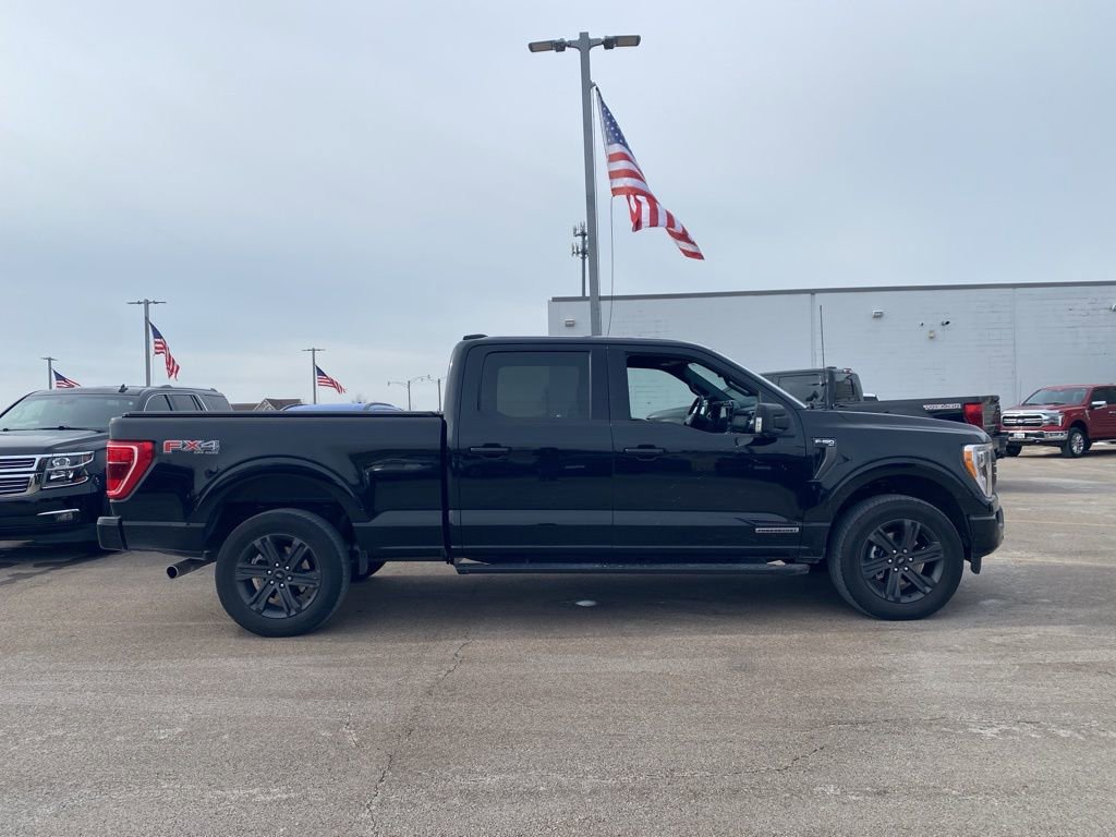 Used 2023 Ford F150 XLT w/ Equipment Group 302A High image 3