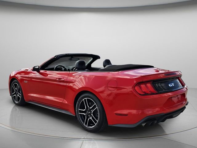 Used 2019 Ford Mustang GT Premium w/ Equipment Group 401A RWD image 8
