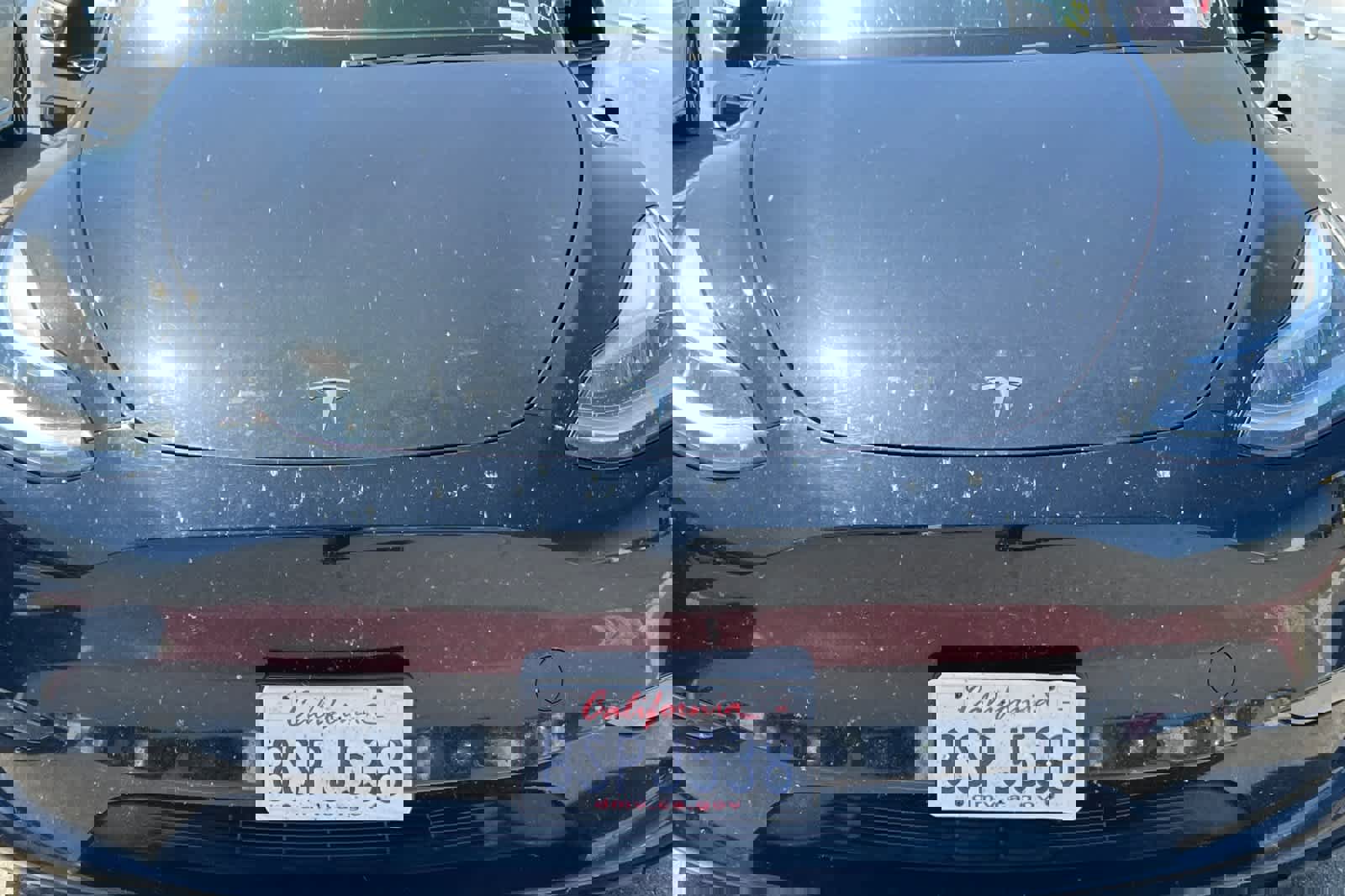 Used 2020 Tesla Model Y Performance image 12