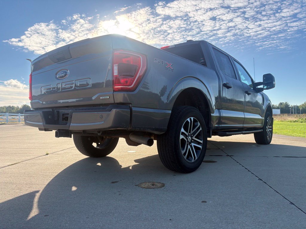 Used 2023 Ford F150 XL w/ STX Appearance Package AWD/4WD image 6