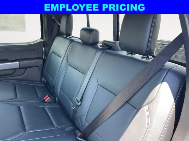New 2026 Ford F150 XLT w/ Equipment Group 303A High AWD/4WD image 13