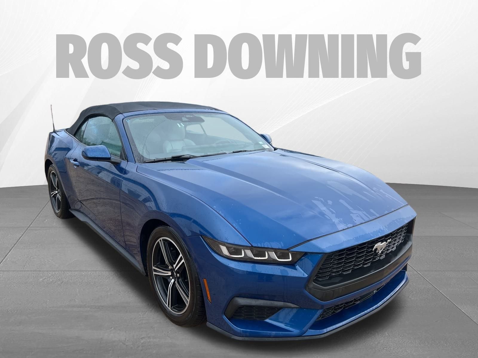 Used 2024 Ford Mustang Premium image 3