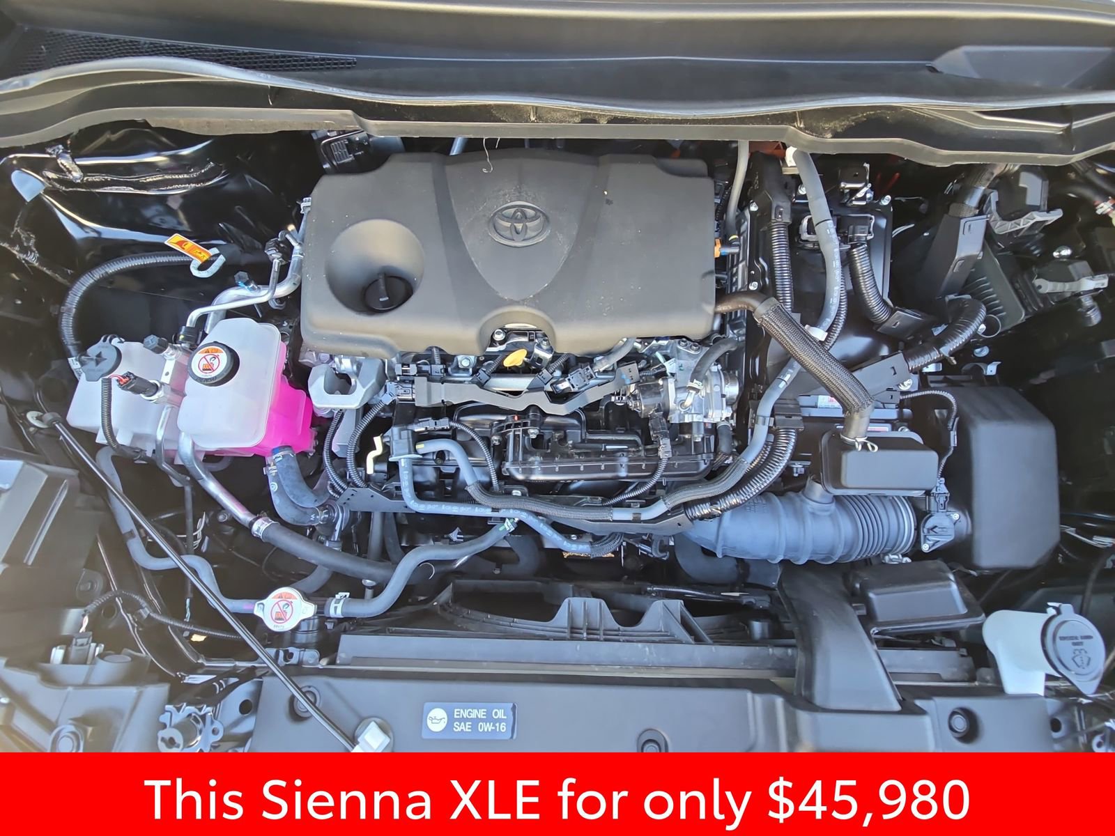 Used 2025 Toyota Sienna XLE w/ XLE Plus Package FWD image 39