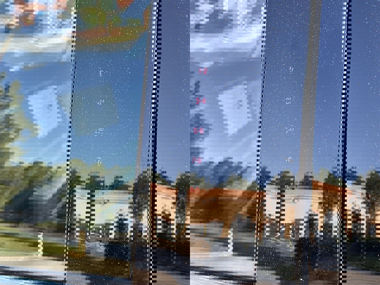 New 2025 Ford Expedition Max Active image 46