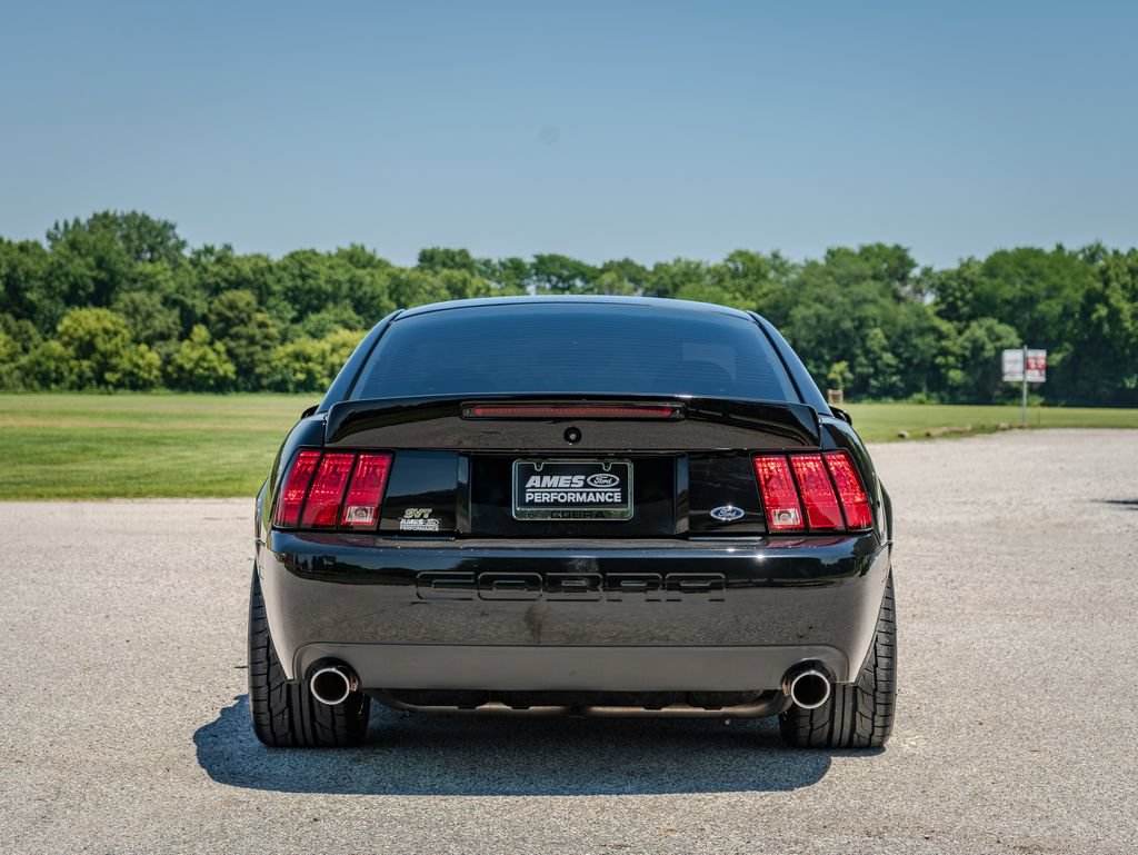 Used 2003 Ford Mustang Cobra RWD image 5