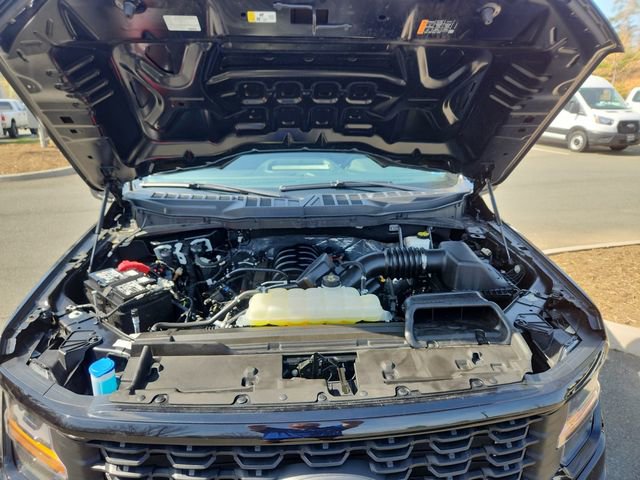 Certified 2024 Ford F150 STX w/ STX Black Appearance Package image 20
