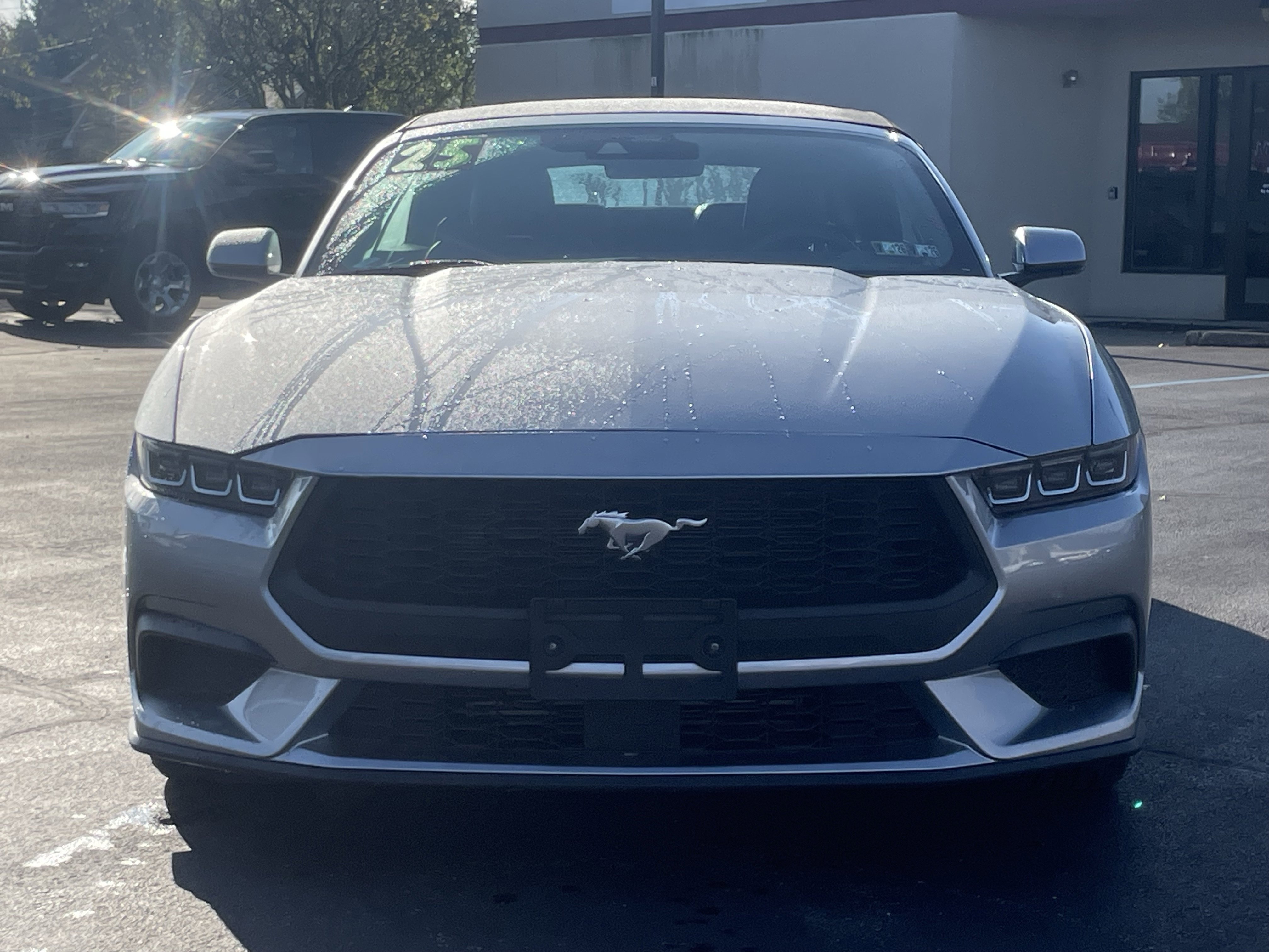 Used 2025 Ford Mustang Premium image 11