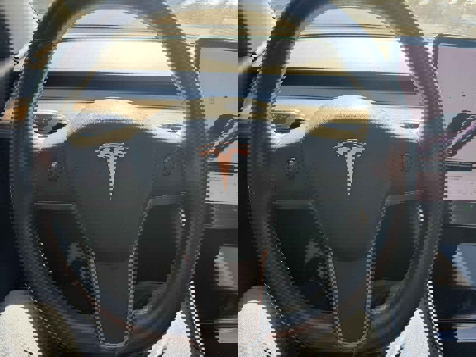 Used 2019 Tesla Model 3 Standard Range Plus image 16