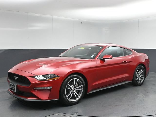 Used 2020 Ford Mustang Coupe w/ Equipment Group 101A RWD image 3