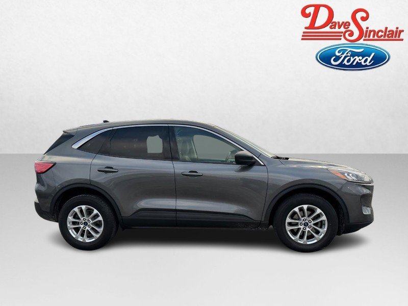 Used 2022 Ford Escape SE AWD/4WD image 5