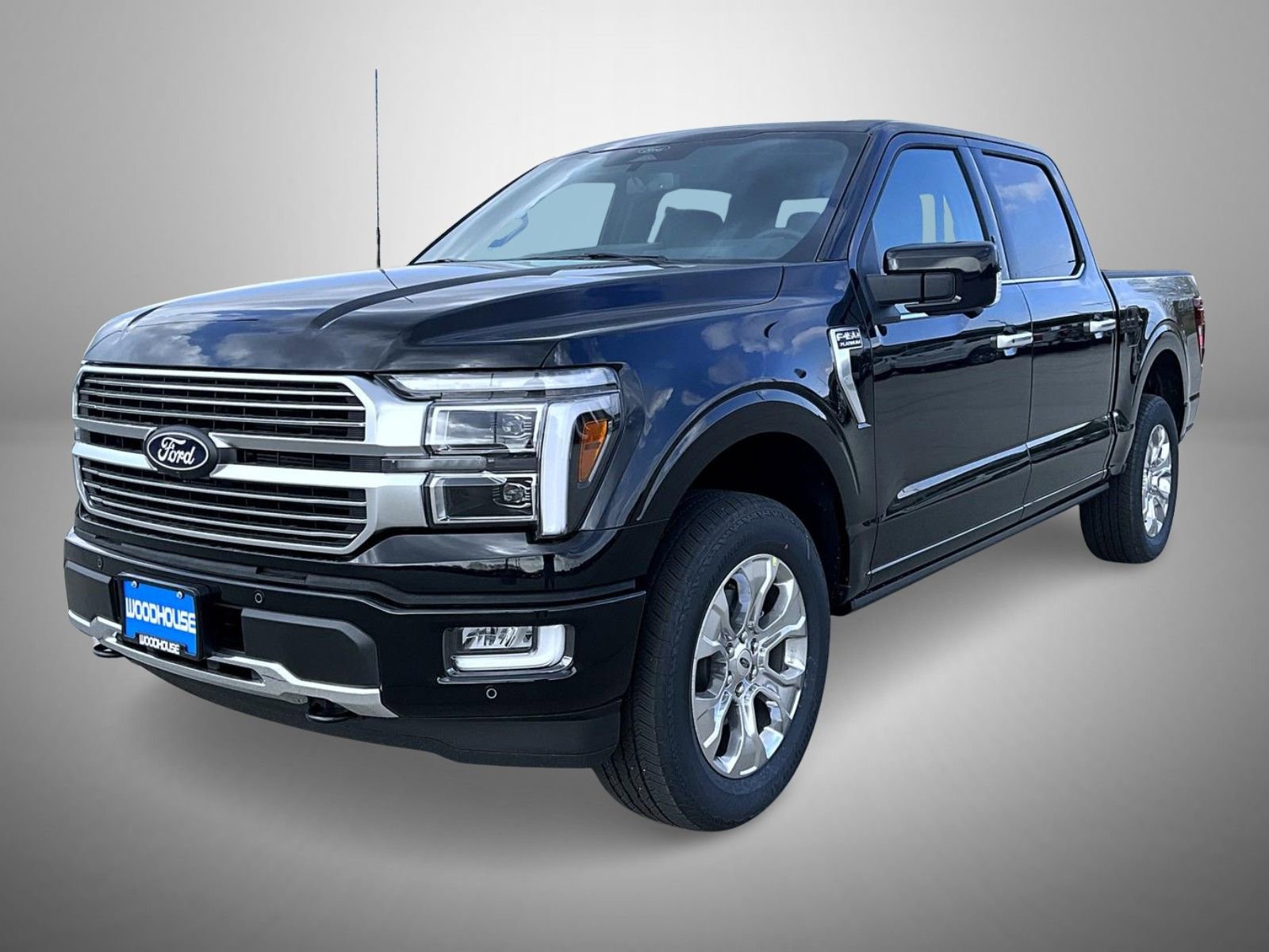New 2026 Ford F150 Platinum