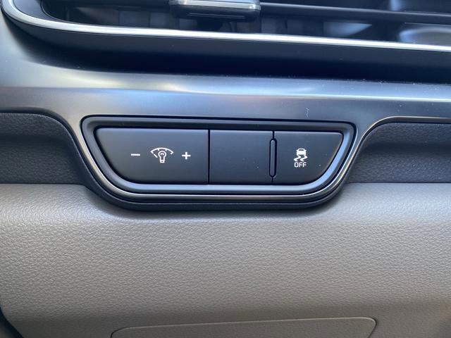 New 2026 Kia Carnival image 25