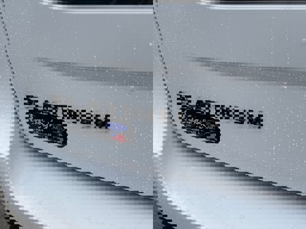 New 2025 Ford Expedition Platinum w/ Stealth Performance Package image 5