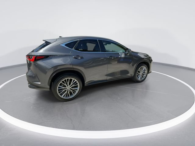 Certified 2023 Lexus NX 350h AWD image 8