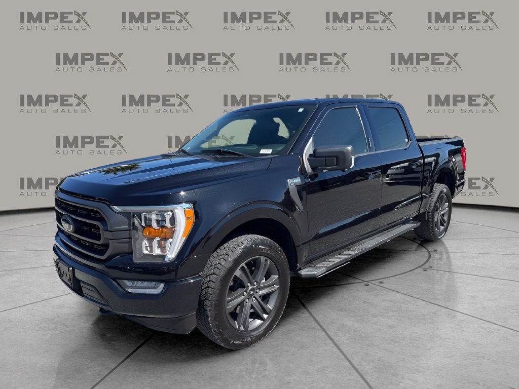 Used 2023 Ford F150 XLT w/ Equipment Group 302A High AWD/4WD image 1
