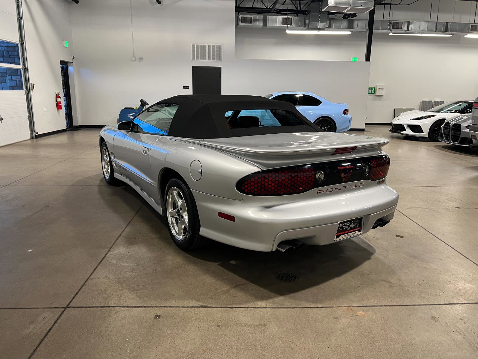 Used 2000 Pontiac Firebird Trans Am image 5