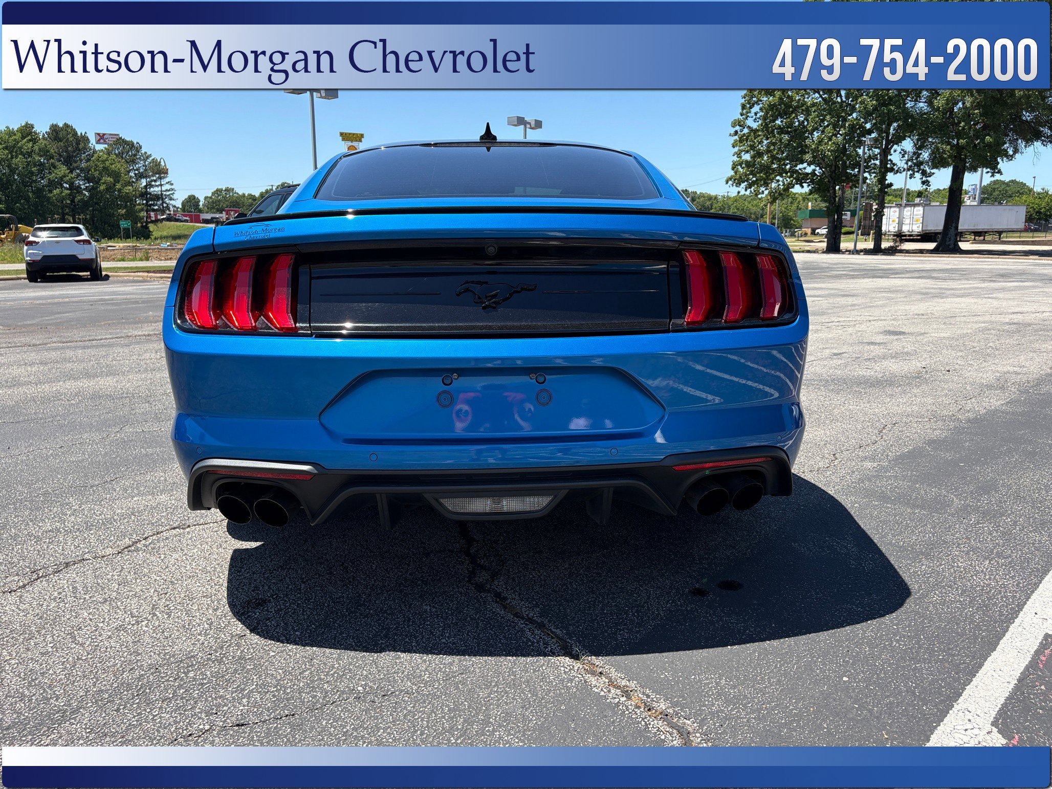 Used 2021 Ford Mustang Premium w/ Equipment Group 201A RWD image 6