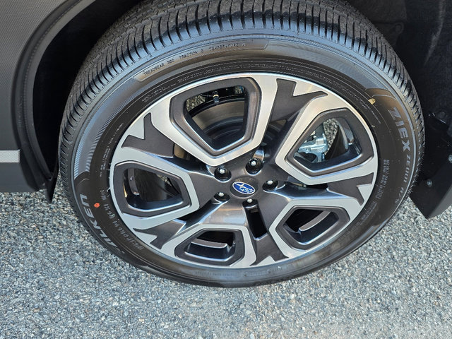 Used 2025 Subaru Ascent Limited image 6