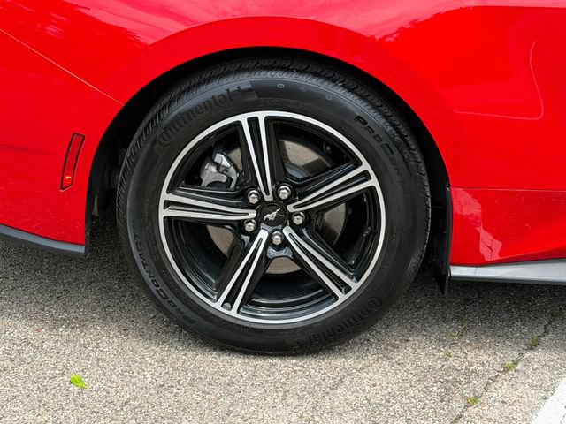 Used 2024 Ford Mustang Coupe RWD image 26