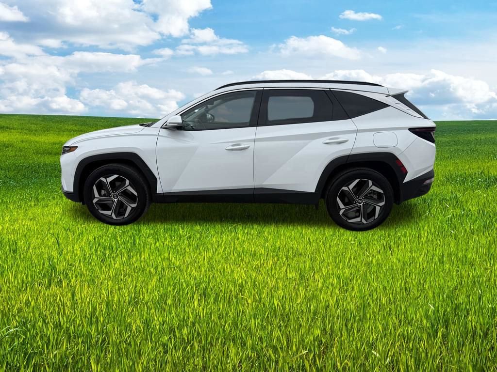 Used 2024 Hyundai Tucson Limited AWD/4WD image 8