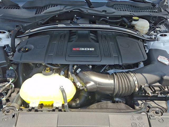 Used 2021 Ford Mustang GT w/ Equipment Group 301A RWD image 28