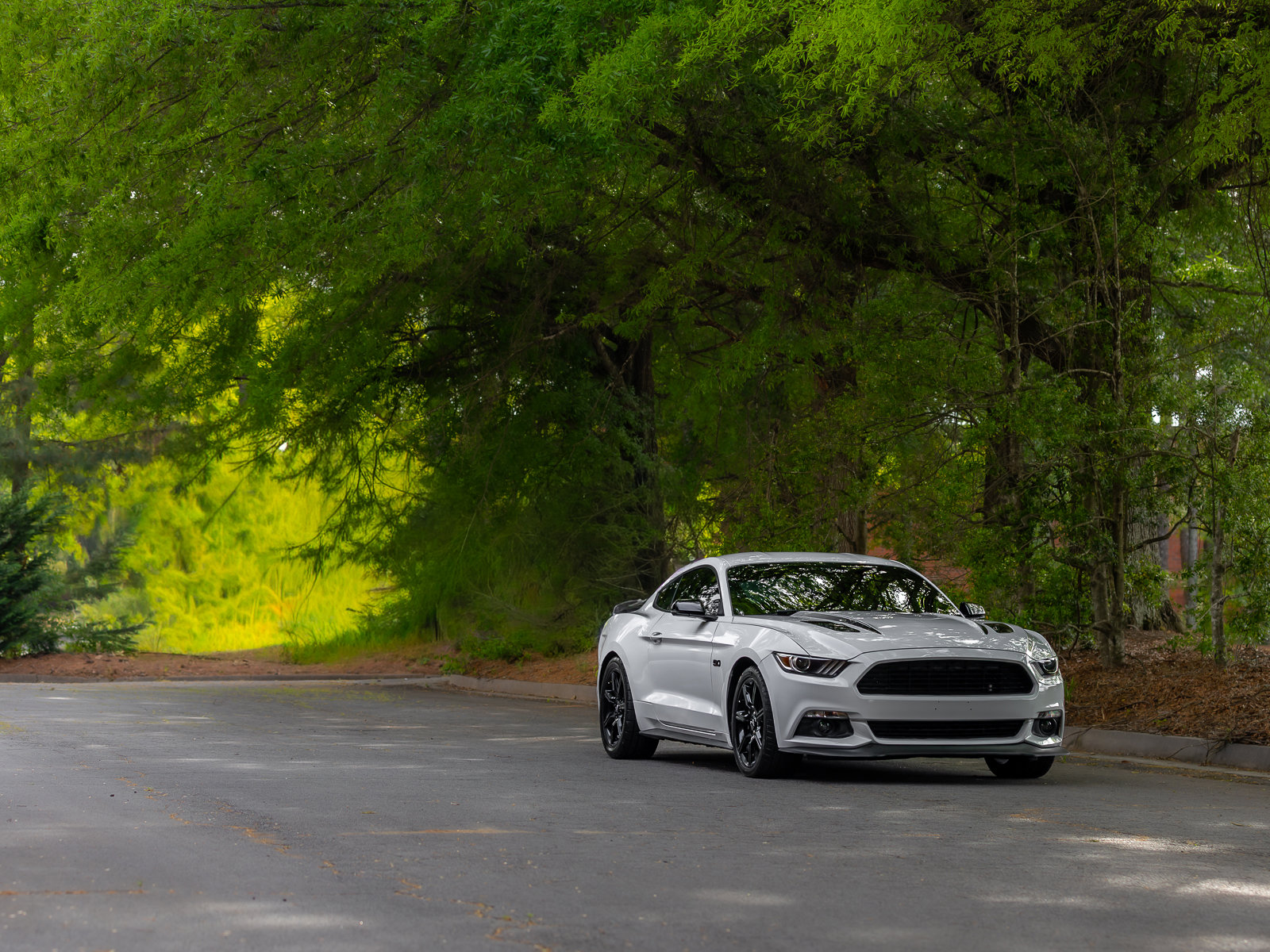 Used 2017 Ford Mustang GT Premium w/ Equipment Group 401A RWD image 35